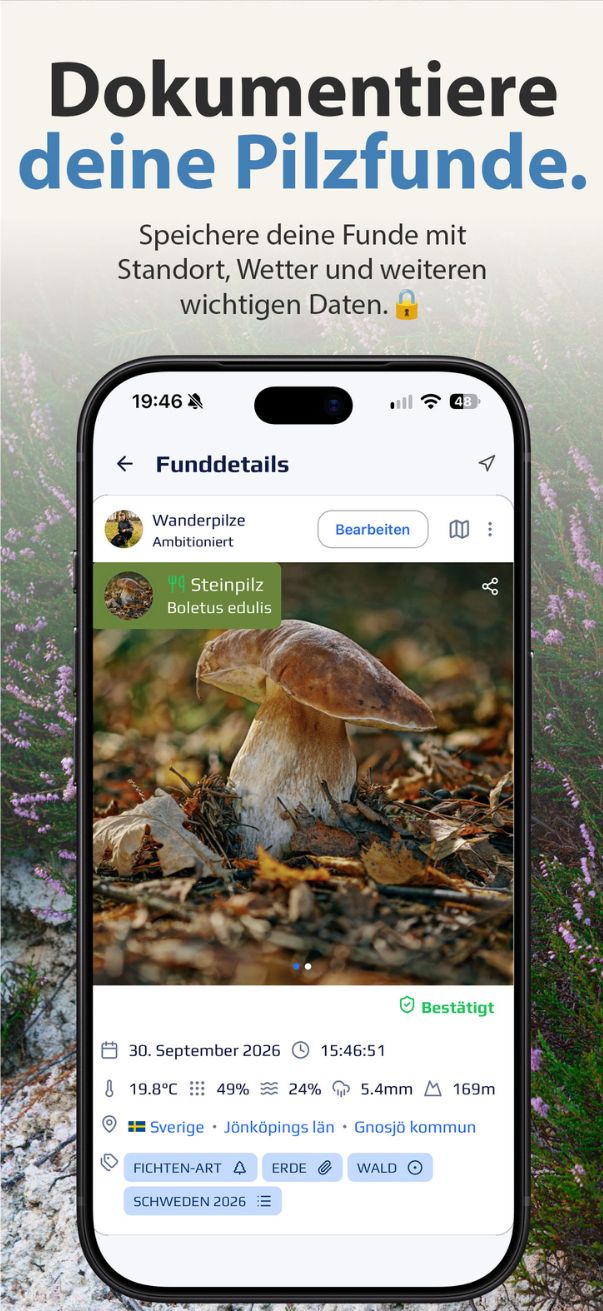 Dokumentiere deine Pilzfunde