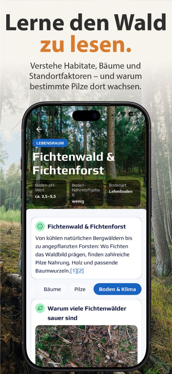 Pilzfaktoren erkennen und lernen